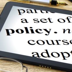 Policy development: the basics
